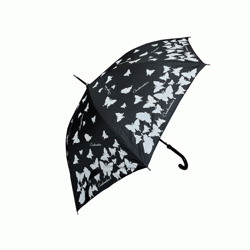 Kišobran na kiši mijenja boju Crni s leptirima 1093580