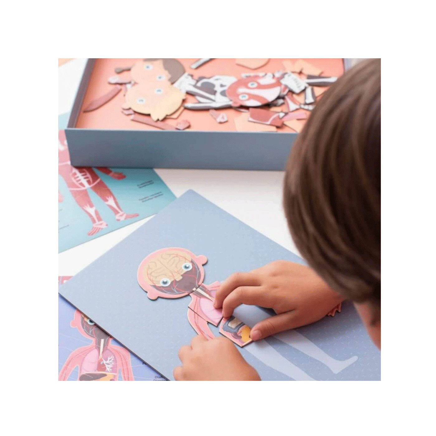 Slagalica Magnetna društvena igra Ljudsko tijelo Apli 1092164 - Slika 3